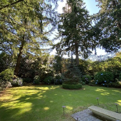 Photo 21 at 1375 W King Edward Avenue, Shaughnessy, Vancouver West