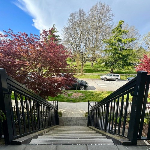 Photo 3 at 326 62nd Avenue W, Marpole, Vancouver West