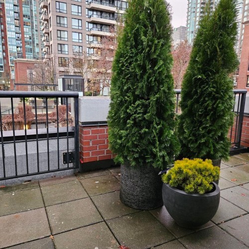 Photo 25 at 973 Mainland Street, Yaletown, Vancouver West