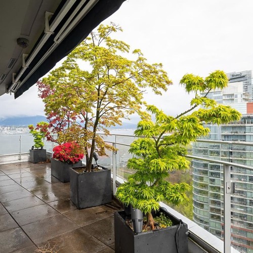 Photo 28 at 2502 - 1233 W Cordova Street, Coal Harbour, Vancouver West