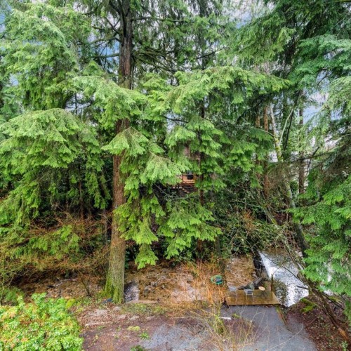 Photo 29 at 977 Clements Avenue, Canyon Heights NV, North Vancouver
