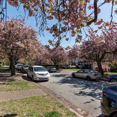 Photo 37 at 457 W 63rd Avenue, Marpole, Vancouver West
